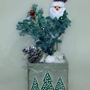 CH016-Hello Santa-Christmas Plant