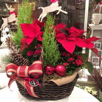 Holiday Flowers Decoration by Posy Floral Design