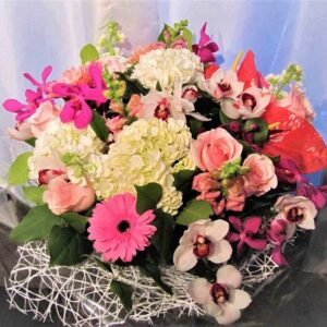 BQ043 You Are The Best