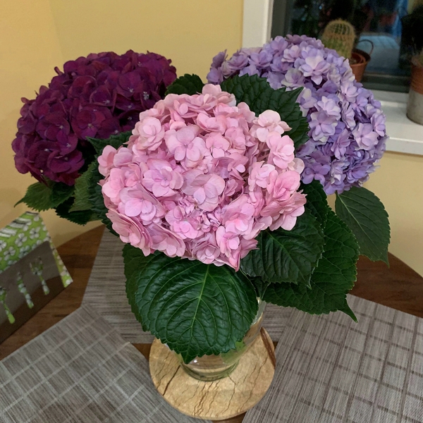 Hydrangea in Bouquets Post by Posy Floral Design